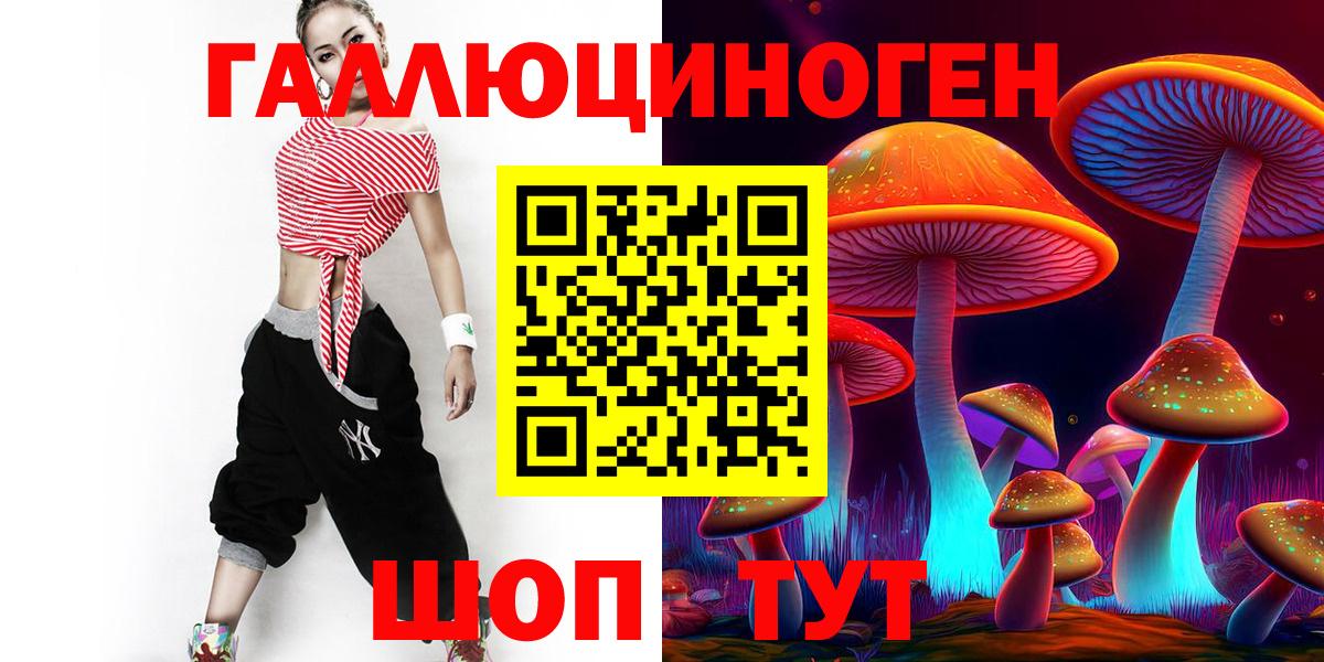 Галлюциногенные грибы MAGIC MUSHROOMS  сколько стоит  Вход с VPN  Касимов  Псилоцибиновые грибы мицелий 